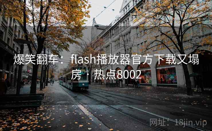 爆笑翻车：flash播放器官方下载又塌房 · 热点8002