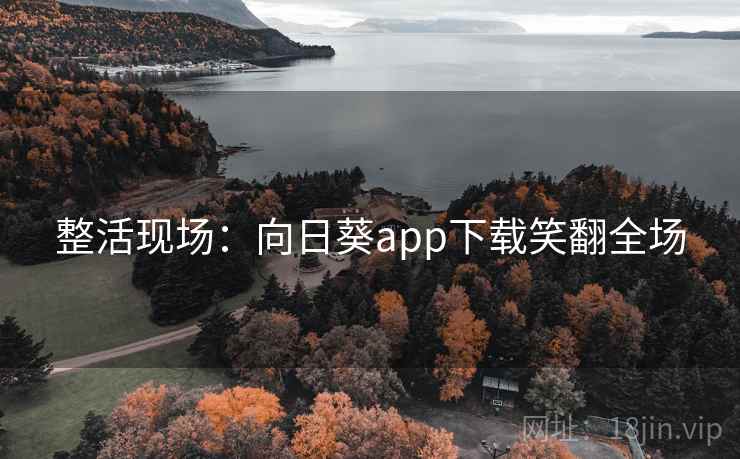 整活现场：向日葵app下载笑翻全场